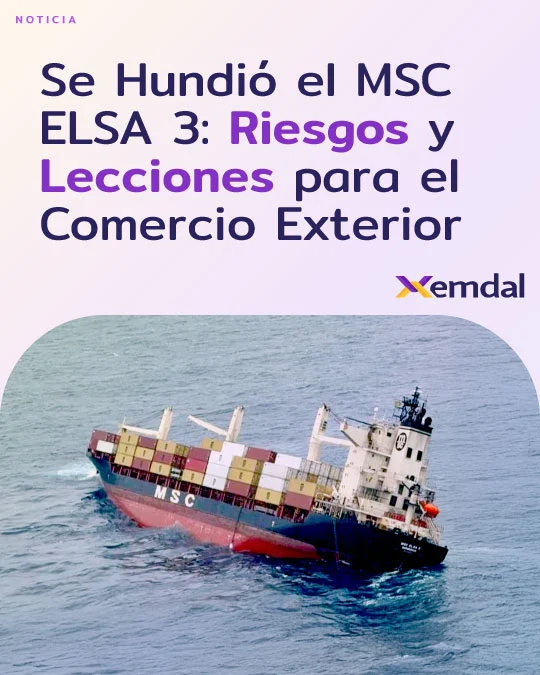 26-Noticia-Elsa3-Web 26-Noticia-Elsa3-Web