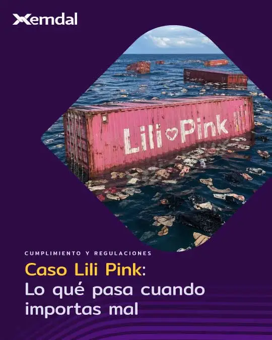 30-cumplimiento-lilipink-web 30-cumplimiento-lilipink-web