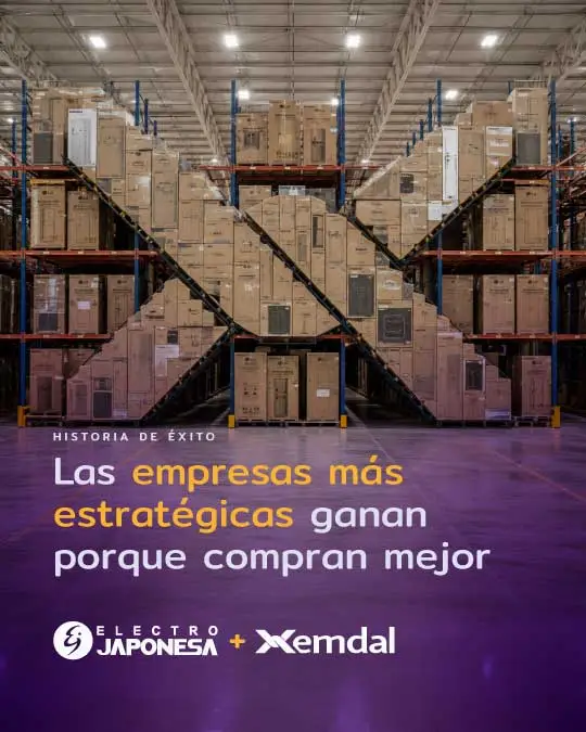 01-historia-exito-electrojaponesa-web 01-historia-exito-electrojaponesa-web